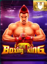 CK444 Boxing King crash game — mapaduse.cz